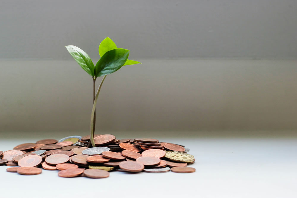 Small Steps, Big Returns: How Micro-Investing Can Grow Your Wealth