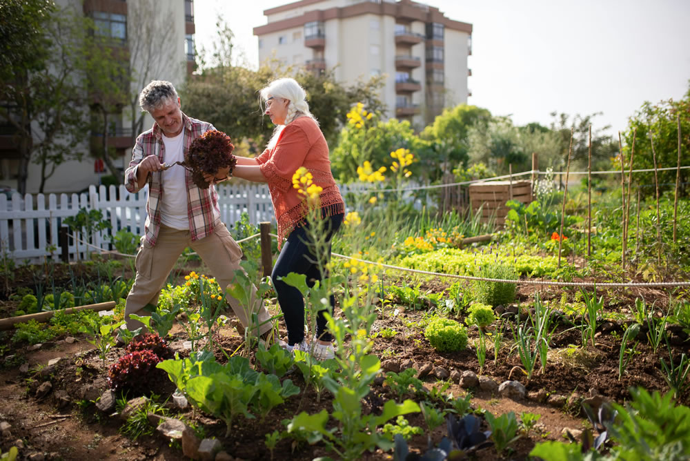 Retirement Planning for Millennials: Starting Early