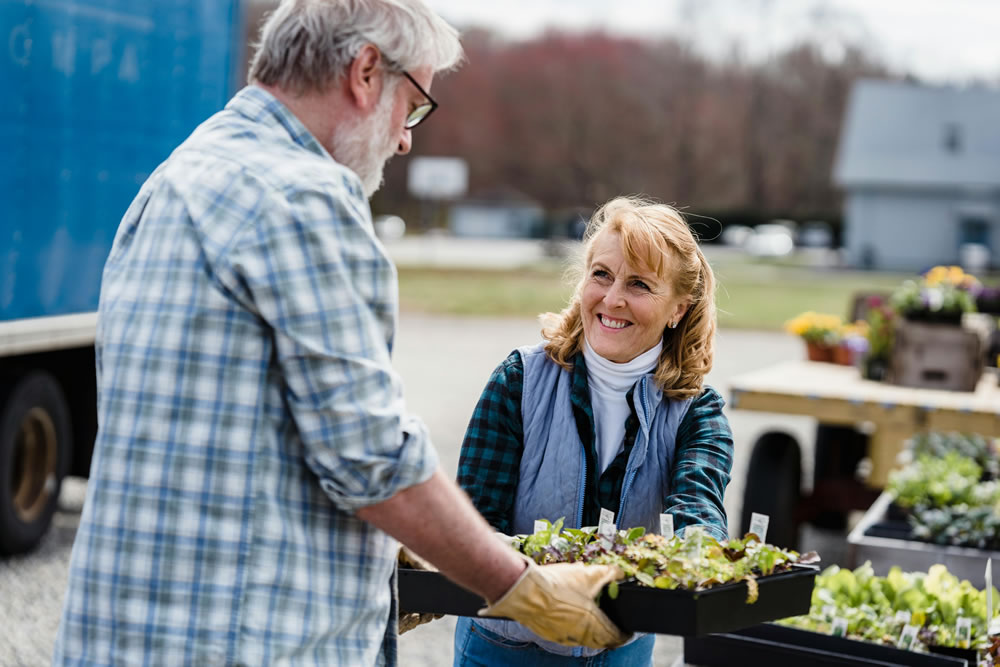 The Psychology of Retirement: Adjusting to Life After Work